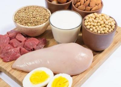 معرفی 13 نوع از خوشمزه ترین مواد غذایی پروتئین دار